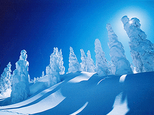 銀雪東北 藏王樹冰秘境 猊鼻溪雪見舟 觀雪纜車 男鹿太鼓秀 三溫泉五日 超值版 品冠旅遊