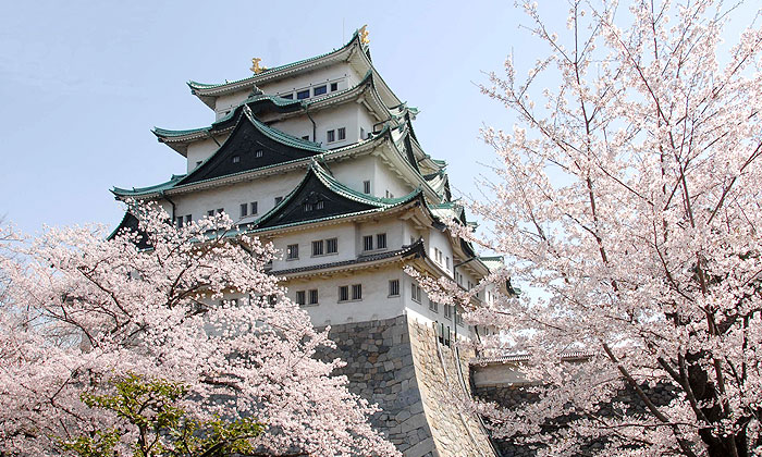 4月 旗艦東瀛 名古屋櫻花序 豐橋公園 海蔵川堤 鶴舞公園 名古屋城 伊勢灣花見賞五日 品冠旅遊