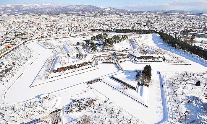 2 3月 冬戀雪 北海道 函館千萬夜景纜車 浪漫小樽運河 國王企鵝表演 五星溫泉一晚 長腳蟹吃到飽五日 函館 千歲 品冠旅遊