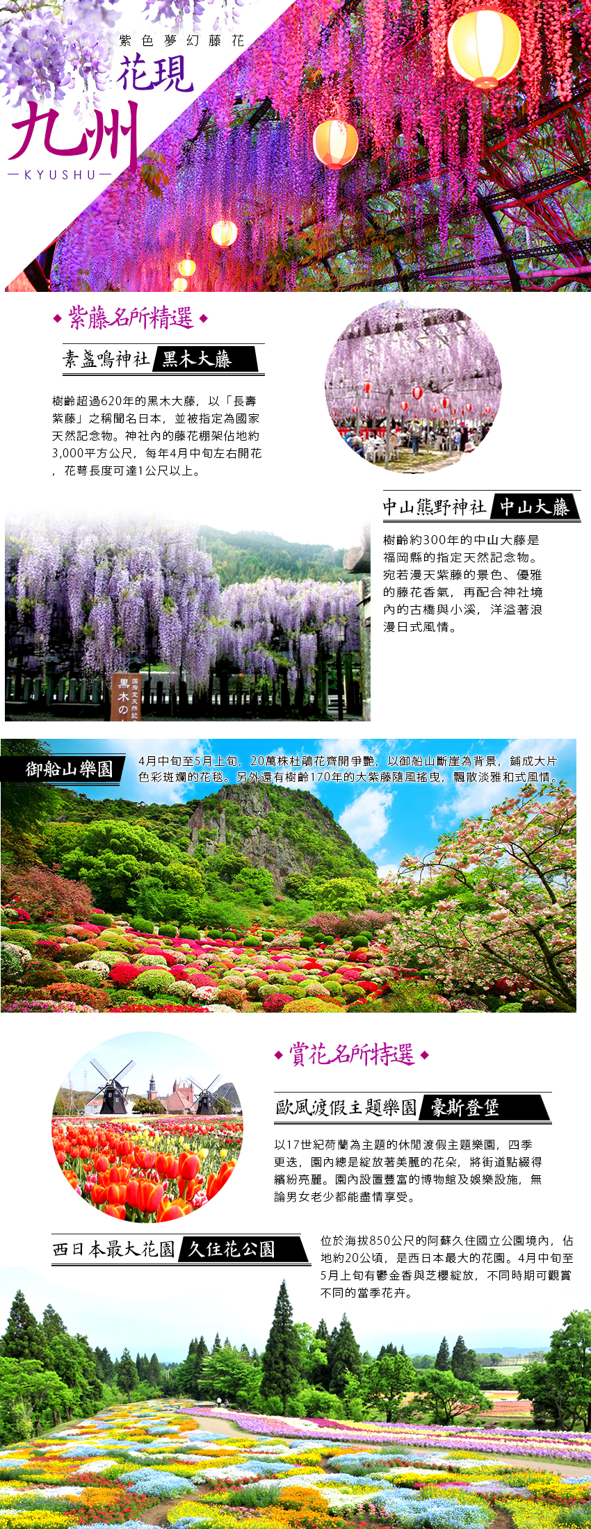 4 5月 浪漫紫藤花季 九州豪斯登堡 御船山樂園 黑木大藤 由布院金鱗湖 溫泉美食五日 品冠旅遊