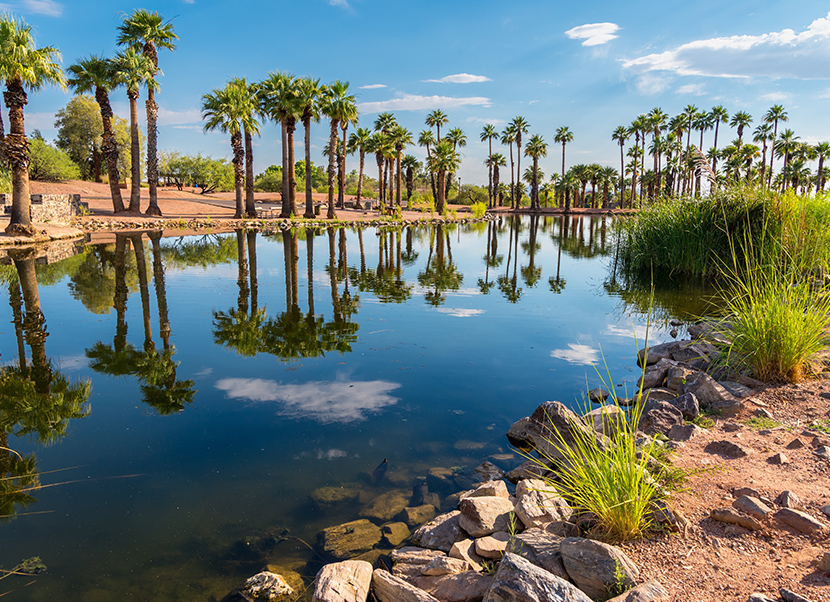 巴巴哥公園（Papago Park）