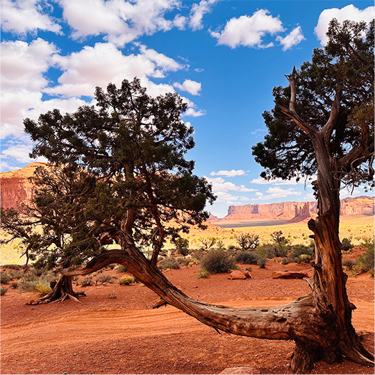 紀念碑山谷 (Monument Valley)