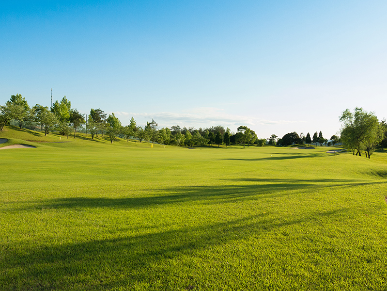 Aono Golf青野高爾夫