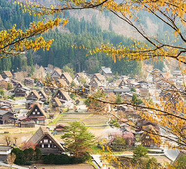 白川鄉合掌村