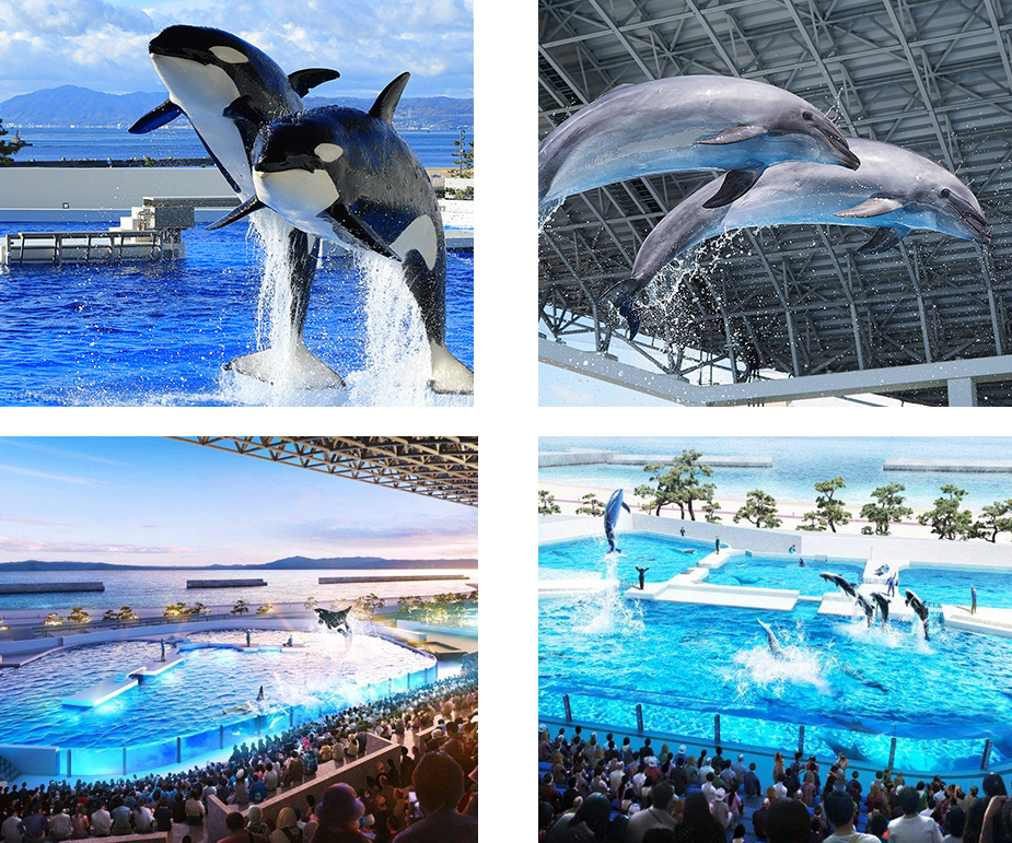 神戶須磨海洋世界