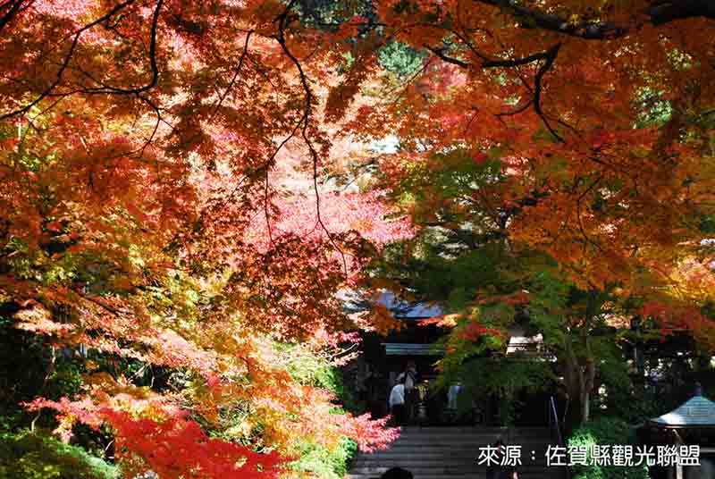 11月 九州紅葉賞 兩晚希爾頓 御船山樂園 體驗雙電車 三大蟹華麗晚餐五日 品冠旅遊