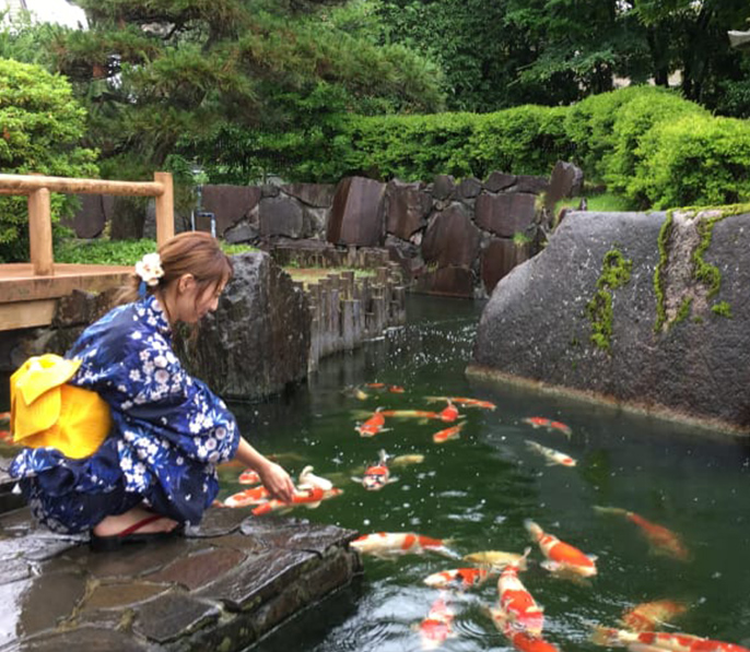 小千谷市錦鯉之里