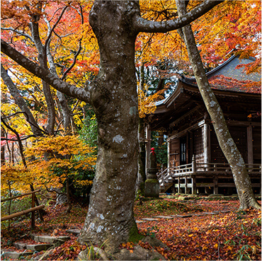 中尊寺