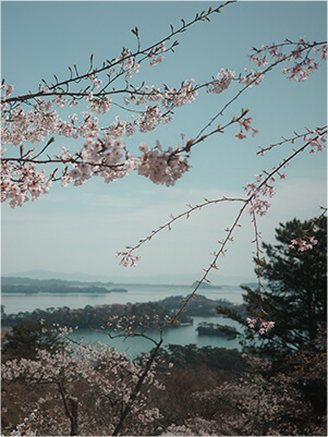 松島灣遊船