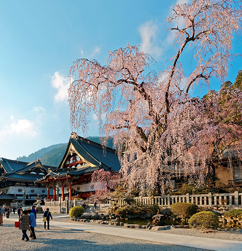 身延山．久遠寺