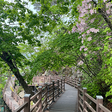 春川三岳山湖水纜車+天空步道