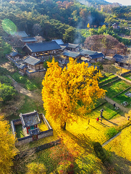道東書院