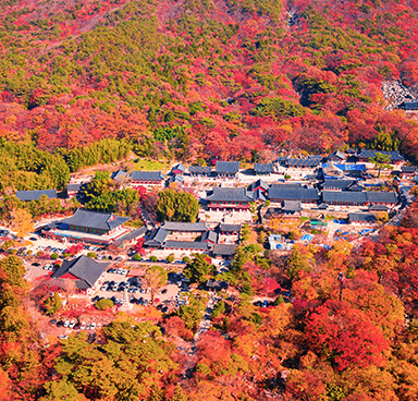 梵魚寺